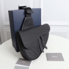 Christian Dior Saddle Bags